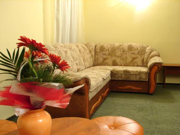 Pension Teleptean Ocna Şugatag 部屋 写真