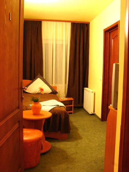 Pension Teleptean Ocna Şugatag 部屋 写真
