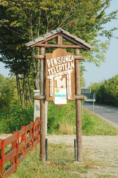 Pension Teleptean Ocna Şugatag エクステリア 写真