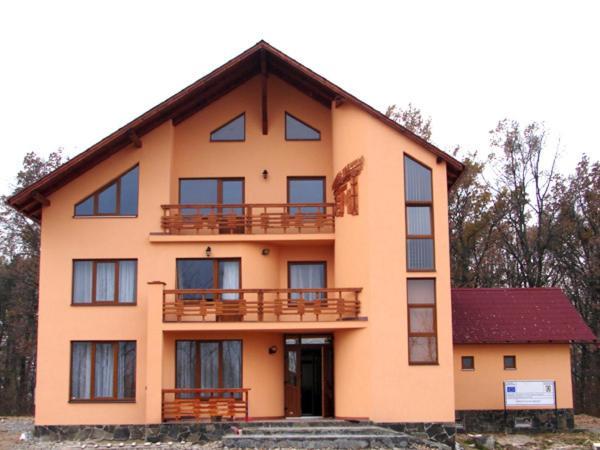 Pension Teleptean Ocna Şugatag エクステリア 写真